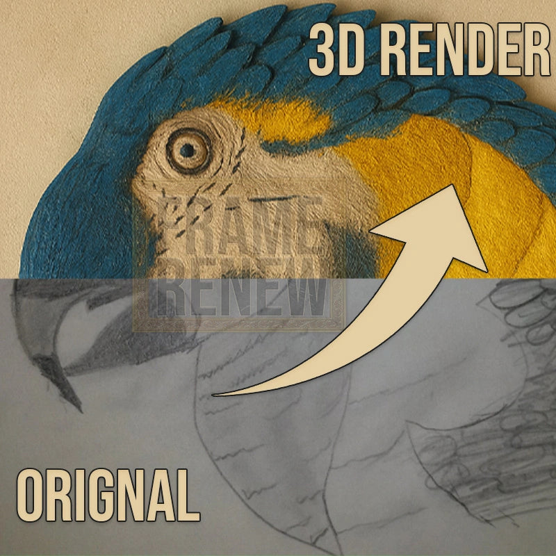 Comparison of a 3D-rendered parrot illustration with an original hand-drawn version on a beige background.
